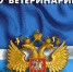 Уважаемые руководители и индивидуальные предприниматели всех форм собственности! - Администрация г. Салават