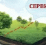 Сообщение  о возможном установлении публичного сервитута - Администрация г. Салават
