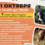 Дорогие жители Салавата! - Администрация г. Салават