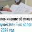 Напоминание об уплате имущественных налогов за 2024 год - Администрация г. Салават