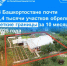 В Башкортостане почти 8,4 тысячи участков обрели четкие границы за 10 месяцев 2025 года - Администрация г. Салават
